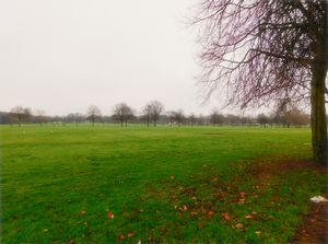 Photo 3- click for photo gallery